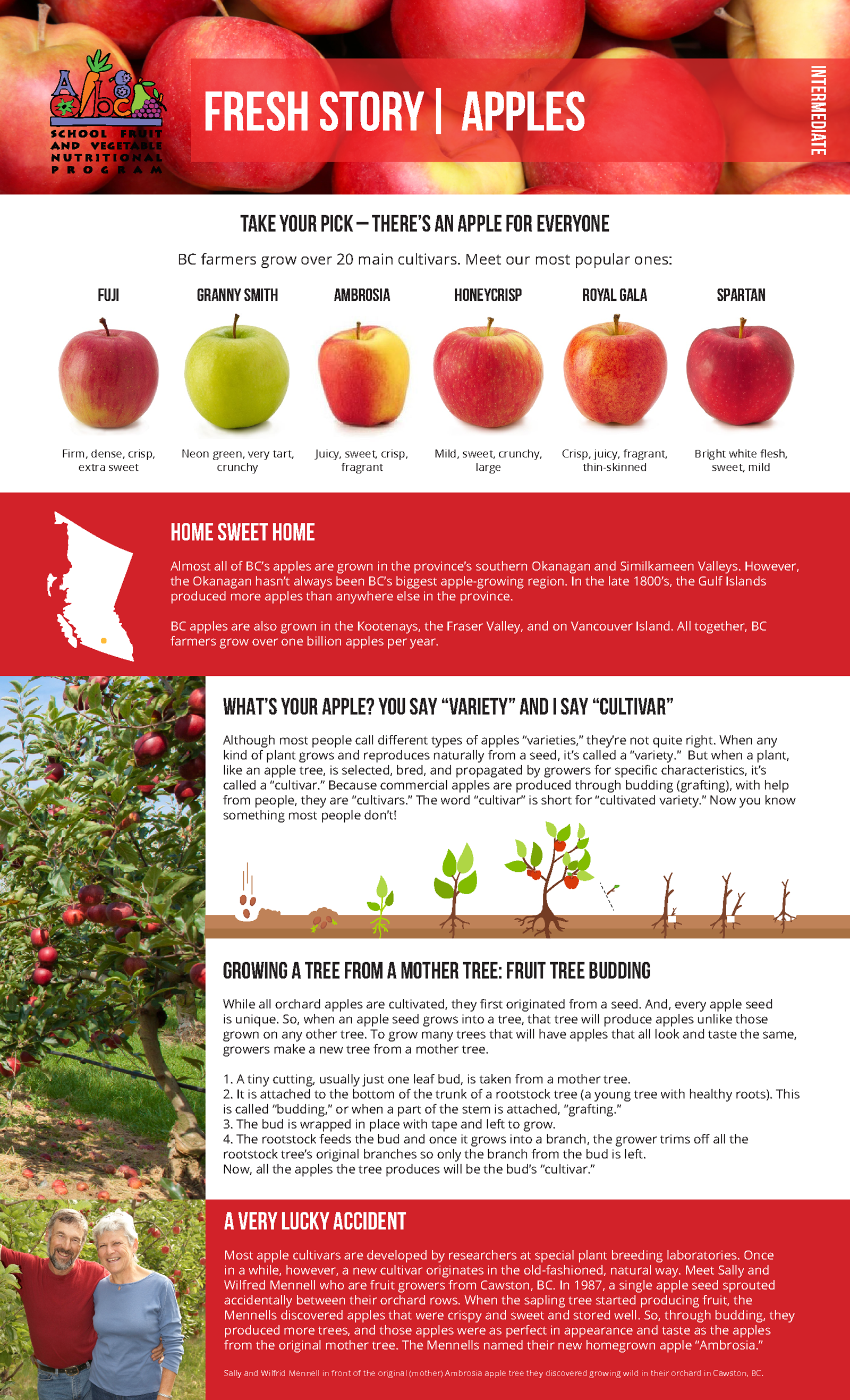 Apples.png