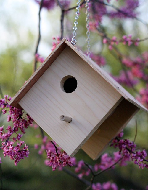 DIY-Wooden-Birdhouse.jpg