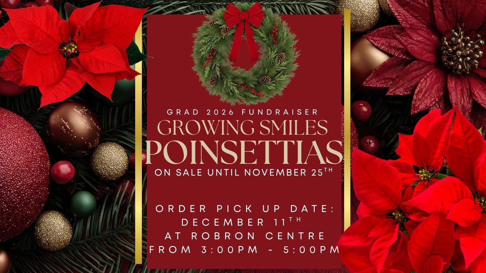 GRAD%202026%20FUNDRAISER%20Poinsettia.jpg