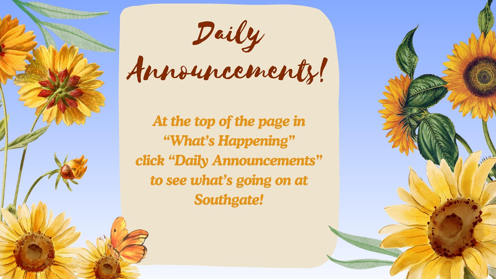 Daily Announcements