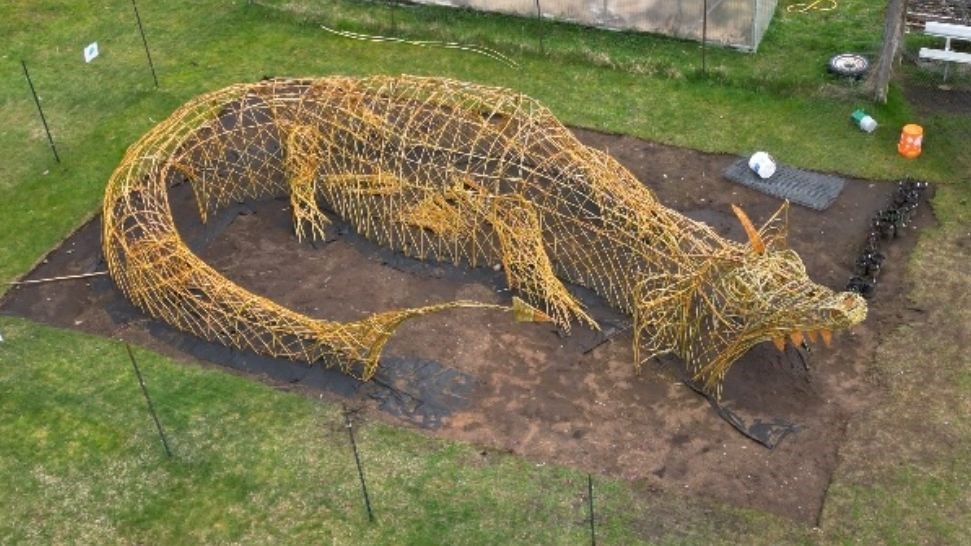 Aerial view of the Cortes Island Green Dragon before the willows started to grow.