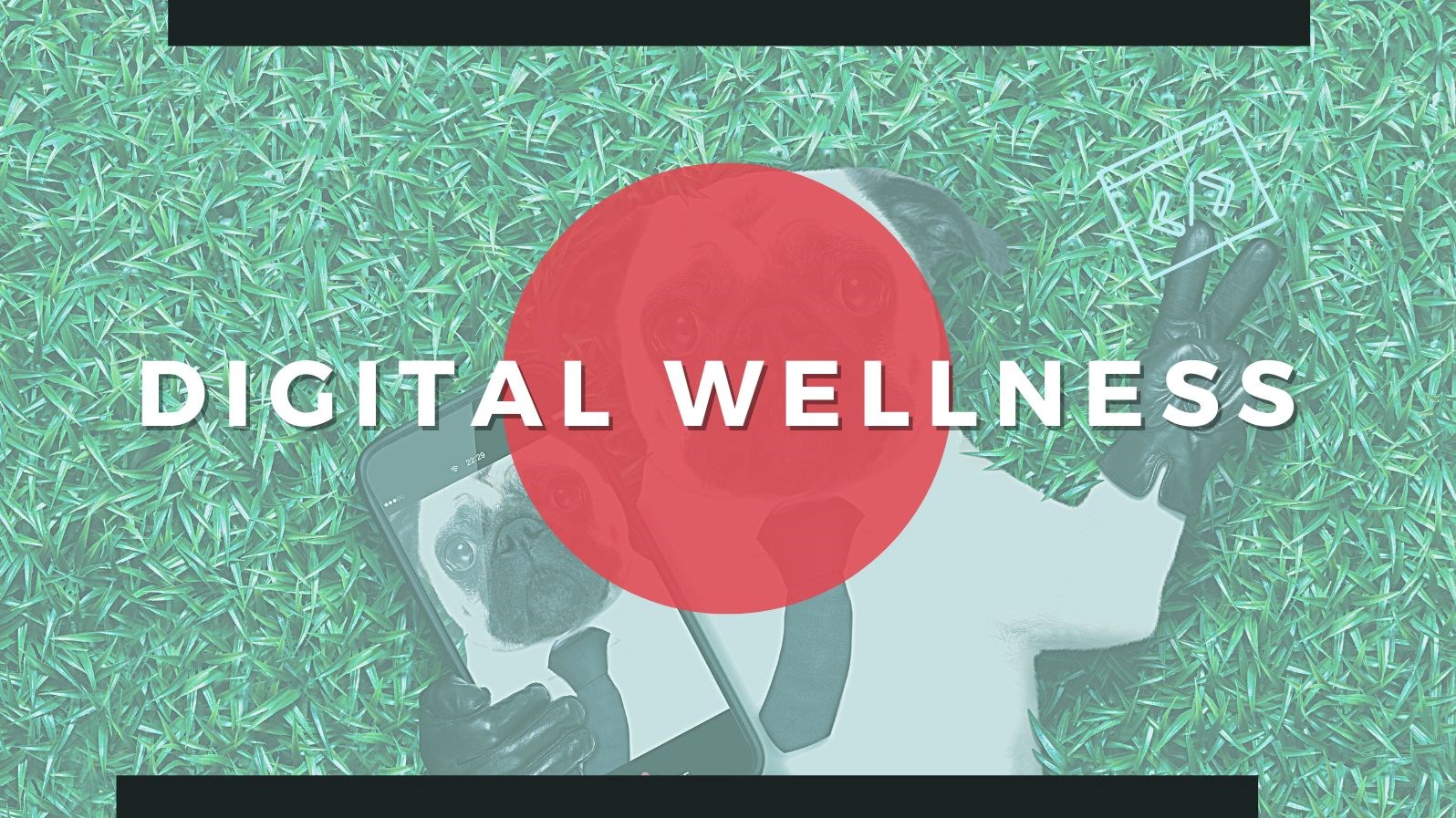 Digital Wellness